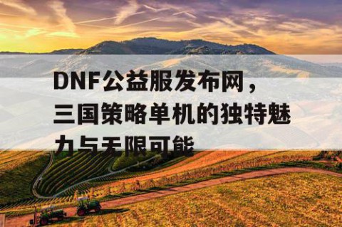 DNF公益服发布网，三国策略单机的独特魅力与无限可能