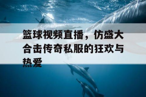 篮球视频直播，仿盛大合击传奇私服的狂欢与热爱