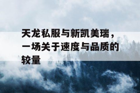 天龙私服与新凯美瑞，一场关于速度与品质的较量