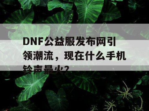 DNF公益服发布网引领潮流，现在什么手机铃声最火？