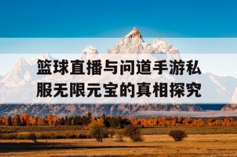 篮球直播与问道手游私服无限元宝的真相探究