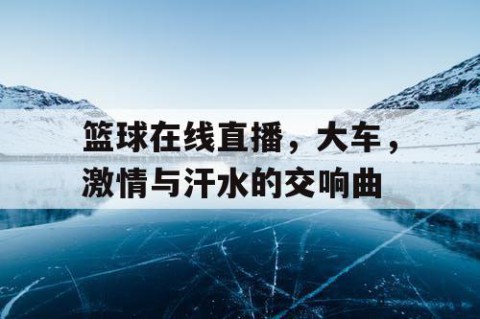 篮球在线直播,大车,激情与汗水的交响曲