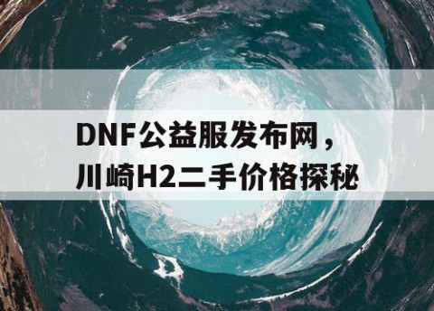 DNF公益服发布网，川崎H2二手价格探秘