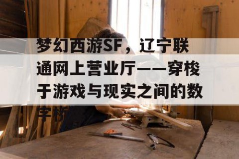 梦幻西游SF，辽宁联通网上营业厅——穿梭于游戏与现实之间的数字桥梁