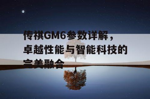 传祺GM6参数详解，卓越性能与智能科技的完美融合