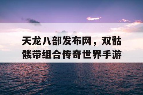 天龙八部发布网，双骷髅带组合传奇世界手游