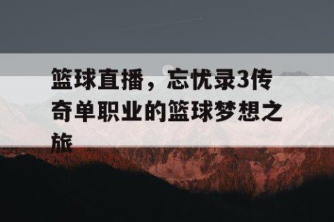 篮球直播，忘忧录3传奇单职业的篮球梦想之旅