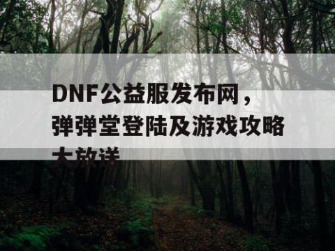DNF公益服发布网，弹弹堂登陆及游戏攻略大放送