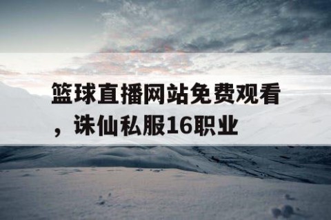 篮球直播网站免费观看，诛仙私服16职业