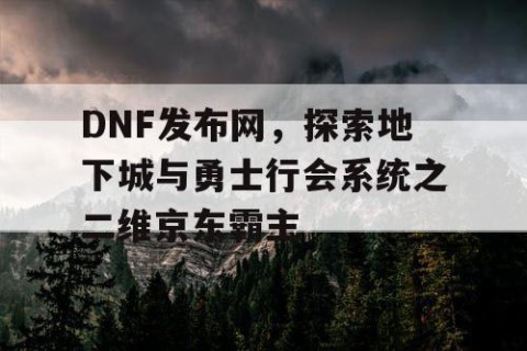DNF发布网，探索地下城与勇士行会系统之二维京东霸主