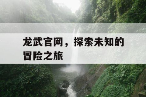 龙武官网，探索未知的冒险之旅