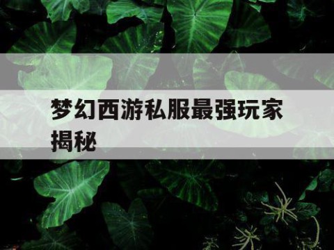 梦幻西游私服最强玩家揭秘