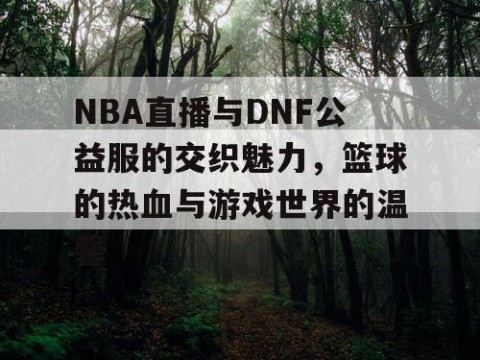 NBA直播与DNF公益服的交织魅力，篮球的热血与游戏世界的温馨