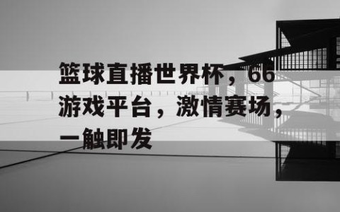 篮球直播世界杯，66游戏平台，激情赛场，一触即发
