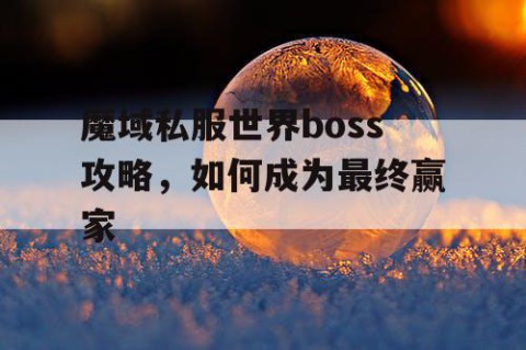 魔域私服世界boss攻略，如何成为最终赢家