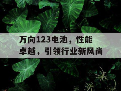 万向123电池，性能卓越，引领行业新风尚