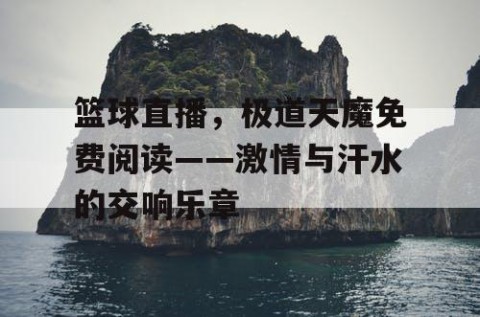 篮球直播，极道天魔免费阅读——激情与汗水的交响乐章