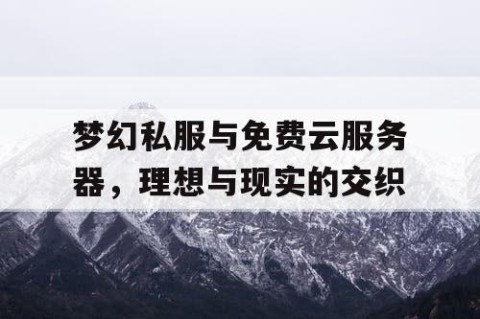梦幻私服与免费云服务器，理想与现实的交织