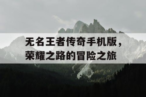 无名王者传奇手机版，荣耀之路的冒险之旅