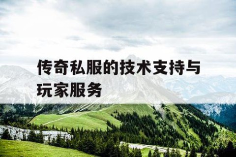传奇私服的技术支持与玩家服务