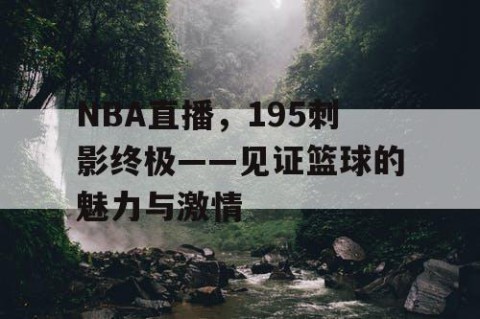 NBA直播，195刺影终极——见证篮球的魅力与激情