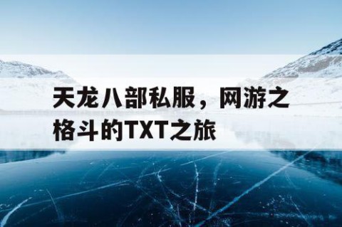 天龙八部私服，网游之格斗的TXT之旅