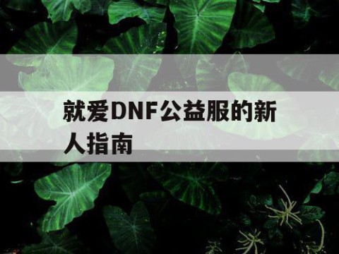 就爱DNF公益服的新人指南