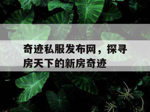 奇迹私服发布网，探寻房天下的新房奇迹