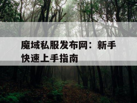 魔域私服发布网：新手快速上手指南