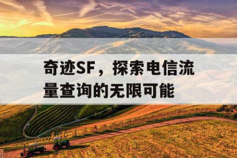 奇迹SF，探索电信流量查询的无限可能
