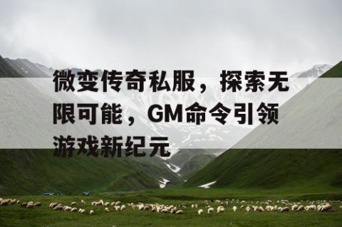 微变传奇私服,探索无限可能,GM命令引领游戏新纪元