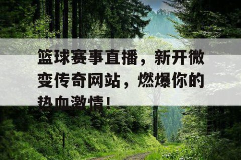 篮球赛事直播，新开微变传奇网站，燃爆你的热血激情！