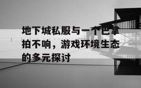 地下城私服与一个巴掌拍不响，游戏环境生态的多元探讨