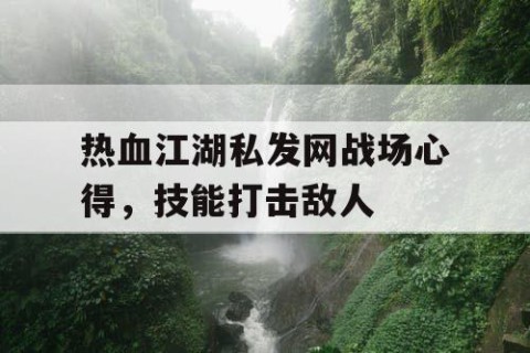 热血江湖私发网战场心得，技能打击敌人