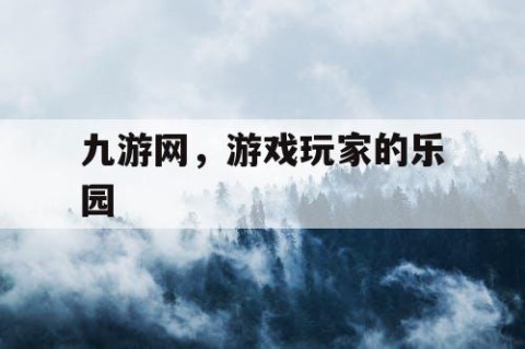 九游网，游戏玩家的乐园