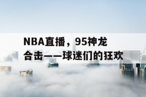 NBA直播，95神龙合击——球迷们的狂欢