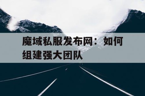 魔域私服发布网：如何组建强大团队
