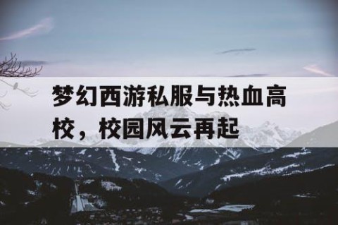 梦幻西游私服与热血高校，校园风云再起