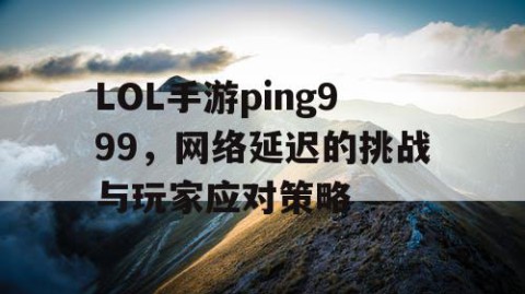 LOL手游ping999，网络延迟的挑战与玩家应对策略