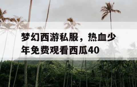 梦幻西游私服，热血少年免费观看西瓜40