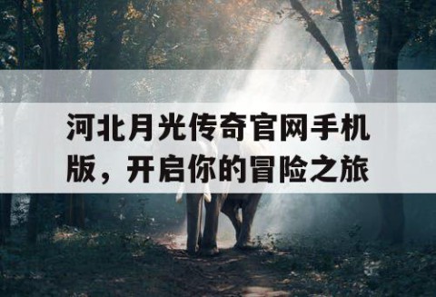 河北月光传奇官网手机版，开启你的冒险之旅