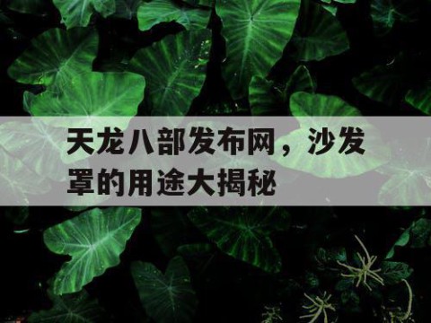 天龙八部发布网，沙发罩的用途大揭秘