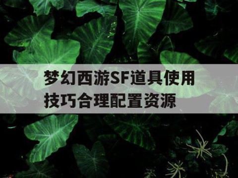 梦幻西游SF道具使用技巧合理配置资源