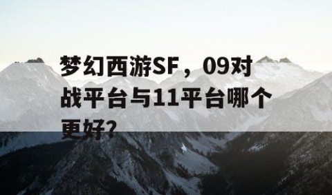 梦幻西游SF，09对战平台与11平台哪个更好？