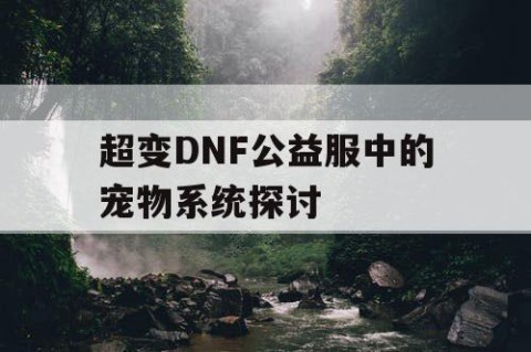 超变DNF公益服中的宠物系统探讨