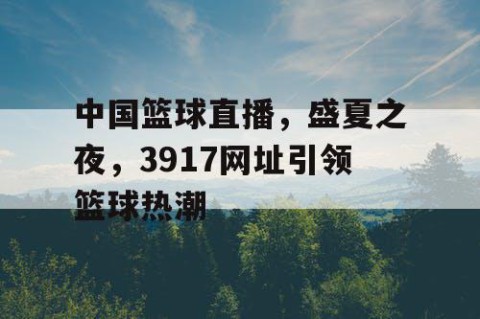 中国篮球直播，盛夏之夜，3917网址引领篮球热潮