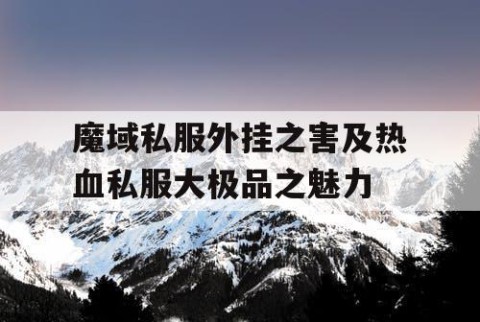 魔域私服外挂之害及热血私服大极品之魅力