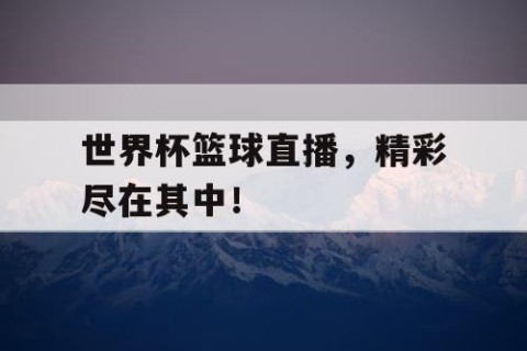 世界杯篮球直播，精彩尽在其中！