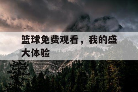 篮球免费观看，我的盛大体验