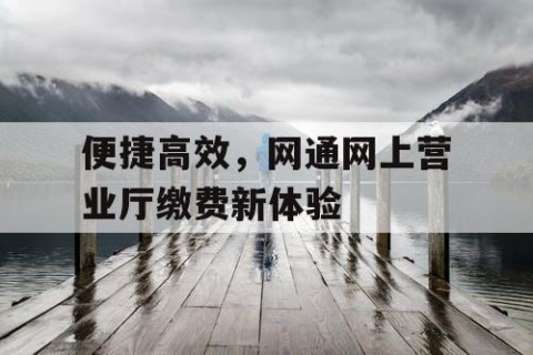 便捷高效，网通网上营业厅缴费新体验